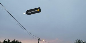 Beitragsbild des Blogbeitrags Das erste Mal Mauersegler kartieren