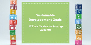 Beitragsbild des Blogbeitrags Sustainable Development Goals –  17 Ziele für eine nachhaltige Zukunft 