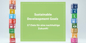 Beitragsbild des Blogbeitrags Sustainable Development Goals 