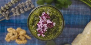 Beitragsbild des Blogbeitrags Kräuter-Pesto 