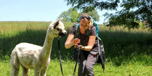 Beitragsbild des Blogbeitrags Alpaka Wanderung & Hofführung in der Nähe von Graz 