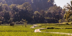 Beitragsbild des Blogbeitrags Indonesien Inseln: Tipps & Route für Sumatra, Java, Bali & Flores 