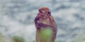 Beitragsbild des Blogbeitrags Backpacking-Kosten auf Sumatra: So viel haben wir ausgegeben