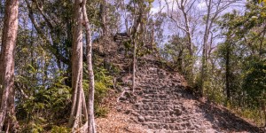 Beitragsbild des Blogbeitrags El Mirador: Warum wir in Guatemala 6 Tage durch den Dschungel wanderten