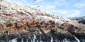 Beitragsbild des Blogbeitrags Peru: 3 verborgene Orte zwischen Lima und Cusco