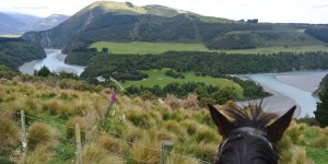 Beitragsbild des Blogbeitrags Mit dem Pferd durch das neuseeländische Christchurch 