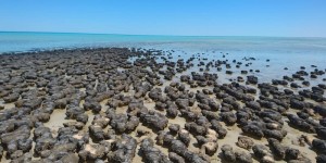 Beitragsbild des Blogbeitrags Westaustralien: Die optimale Route von Broome bis Albany