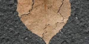 Beitragsbild des Blogbeitrags Herz gebrochen? 10 Tipps, wie du dich bald wieder besser fühlst