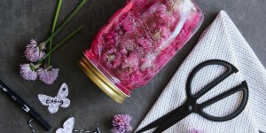 Beitragsbild des Blogbeitrags Schnittlauchblüten-Essig