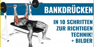 Beitragsbild des Blogbeitrags Bankdrücken – breite Brustmuskeln mit der richtigen Technik + Video