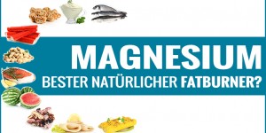 Beitragsbild des Blogbeitrags Magnesium – der beste natürliche Fatburner beim Abnehmen? 