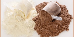 Beitragsbild des Blogbeitrags Whey, Casein & Co. – welches Proteinpulver ist das Beste?