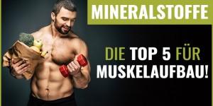Beitragsbild des Blogbeitrags Mineralstoffe für Muskelaufbau – das sind die 5 Wichtigsten 