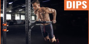 Beitragsbild des Blogbeitrags Dips – krasse Brust & starker Trizeps mit dieser Übung + Bilder