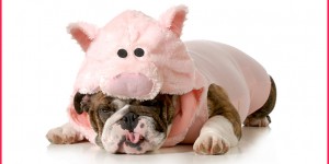 Beitragsbild des Blogbeitrags Inneren Schweinehund überwinden? 5 Tipps, wie Du es schaffst 