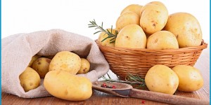 Beitragsbild des Blogbeitrags Sind Kartoffeln gesund? Der große Potato-Guide 