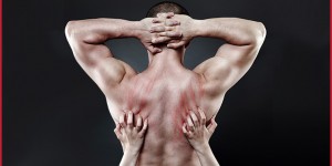 Beitragsbild des Blogbeitrags Stehen Frauen auf Muskeln? Sind muskulöse Männer sexy? 
