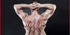 Beitragsbild des Blogbeitrags Stehen Frauen auf Muskeln? Sind muskulöse Männer sexy?