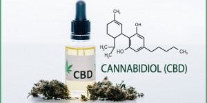 Beitragsbild des Blogbeitrags CBD Wirkung, Dosierung & Co. – die 8 häufigsten Fragen