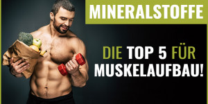 Beitragsbild des Blogbeitrags Mineralstoffe für Muskelaufbau? Das sind die Top 5 