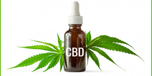 Beitragsbild des Blogbeitrags CBD-Öl – besser schlafen mit dem Stoff aus der Hanfpflanze? 