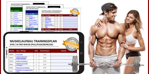 Beitragsbild des Blogbeitrags Muskelaufbau-Trainingsplan als Download – starte noch heute! 