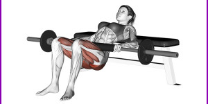 Beitragsbild des Blogbeitrags Hip Thrusts – die beste Po-Übung für einen knackigen Hintern