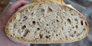 Beitragsbild des Blogbeitrags Dinkelvollkorn-Weizenbrot mit Pasta Madre 