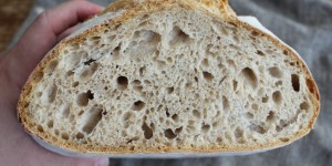 Beitragsbild des Blogbeitrags Dinkelvollkorn-Weizenbrot mit Pasta Madre