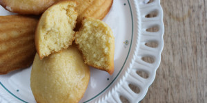 Beitragsbild des Blogbeitrags Madeleines 