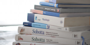 Beitragsbild des Blogbeitrags Physiotherapie Ausbildung in Österreich: das Aufnahmeverfahren