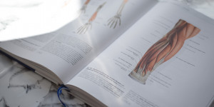Beitragsbild des Blogbeitrags Das Physiotherapie Studium: Einblicke in den Studienalltag