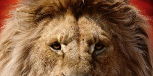 Beitragsbild des Blogbeitrags Der König der Löwen (2019) – Review
