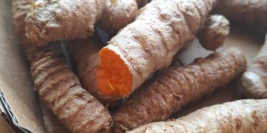 Beitragsbild des Blogbeitrags Kurkuma – das Wundergewürz des Ayurveda