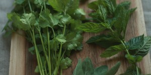 Beitragsbild des Blogbeitrags 3 Gartenkräuter zum Pitta-Ausgleich