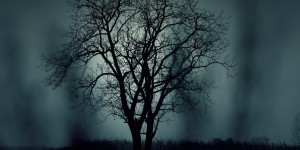 Beitragsbild des Blogbeitrags Unschuldsengel – Rezension
