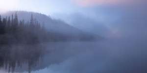 Beitragsbild des Blogbeitrags Rezension – Finsternebel