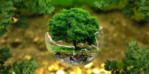 Beitragsbild des Blogbeitrags Die 100 besten ECO-HACKS