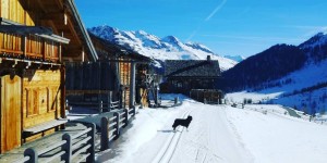 Beitragsbild des Blogbeitrags We love Wintercamping – Fabelhafter Ausklang im Defreggental/Osttirol 