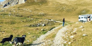 Beitragsbild des Blogbeitrags Mit Hund & Wohnmobil nach Montenegro – Einreisebestimmungen