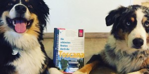 Beitragsbild des Blogbeitrags Die schönsten Routen durch die Toscana – Buchtip