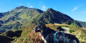 Beitragsbild des Blogbeitrags Der Gilfert – Wie ich erfolgreich mit meiner Kindheit Frieden schloss