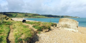 Beitragsbild des Blogbeitrags La Hague – Mit Van und Hund in Frankreichs rauhem Nordwesten