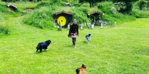 Beitragsbild des Blogbeitrags Kamp Velebit – Von Zauberern, Hobbits und Feenstaub
