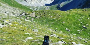 Beitragsbild des Blogbeitrags Valle Maira – Von steinigen Wegen & zart-pelzigen Blüten