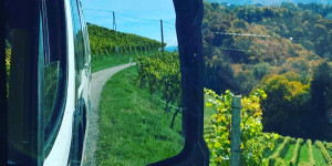 Beitragsbild des Blogbeitrags The Taste of Südsteiermark – Ein Roadtrip mit dem Ösi in mir 