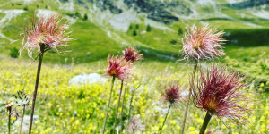 Beitragsbild des Blogbeitrags Der Desinfektionsmittelspender ist halb voll – Was vom Optimismus übrig ist…