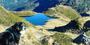Beitragsbild des Blogbeitrags Unterwegs in der Heimat – Herbst-Wandern mit Hund in den Kitzbüheler Alpen