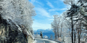 Beitragsbild des Blogbeitrags Van Christmas – Generalprobe nach Mendel