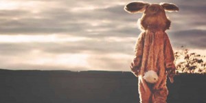 Beitragsbild des Blogbeitrags Akquisestrategien für Angsthasen